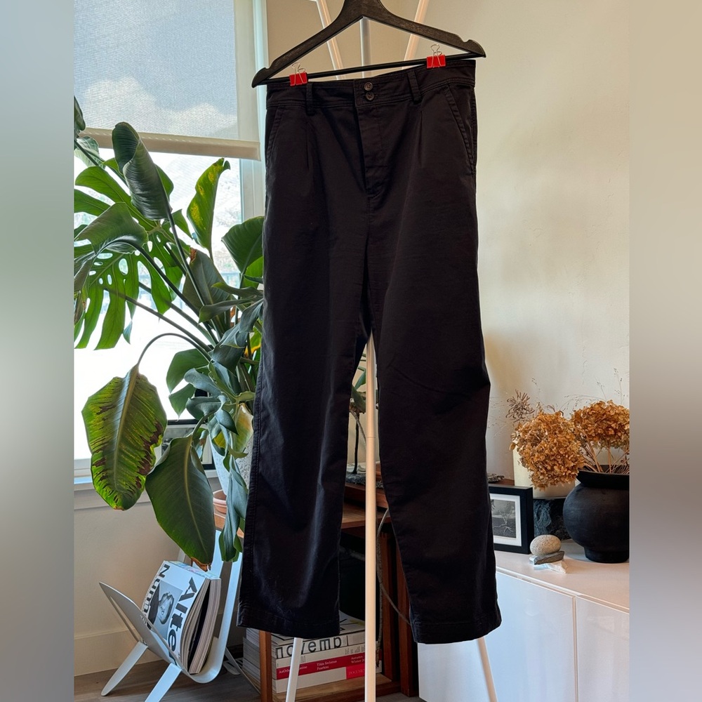 Everlane Pleated Chino